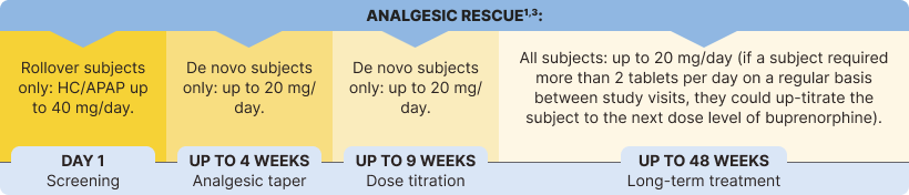 Analgesic Rescue Study Design: A timeline showing DAY 1 Screening, UP TO 4 WEEKS Analgesic taper, UP TO 9 WEEKS Dose titration, and UP TO 48 WEEKS Long-term treatment. Details include PRN and HC/APAP dosages for rollover and de novo subjects, and criteria for up-titration during long-term treatment.
