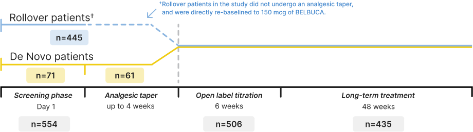 Study design starts with a 1-day screening phase, up to 4 weeks of analgesic taper, and then a 6-week open-label titration phase for de novo patients. Rollover patients from the 12-week trial went right to the 6-week open-label titration phase. Both arms then moved to the long-term treatment phase of 48 weeks.