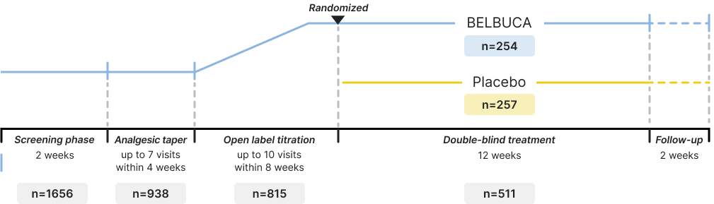 Study design includes the following phases: 2-week screening, up to 4 weeks for analgesic taper, up to 8 weeks of open-label titration, randomization to continue BELBUCA or start treatment with placebo for 12 weeks, and 2 weeks of follow-up.