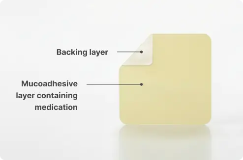 BELBUCA buccal film has 2 layers with a mucoadhesive layer and a backing layer.