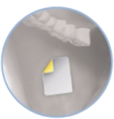 Delivery System Icon